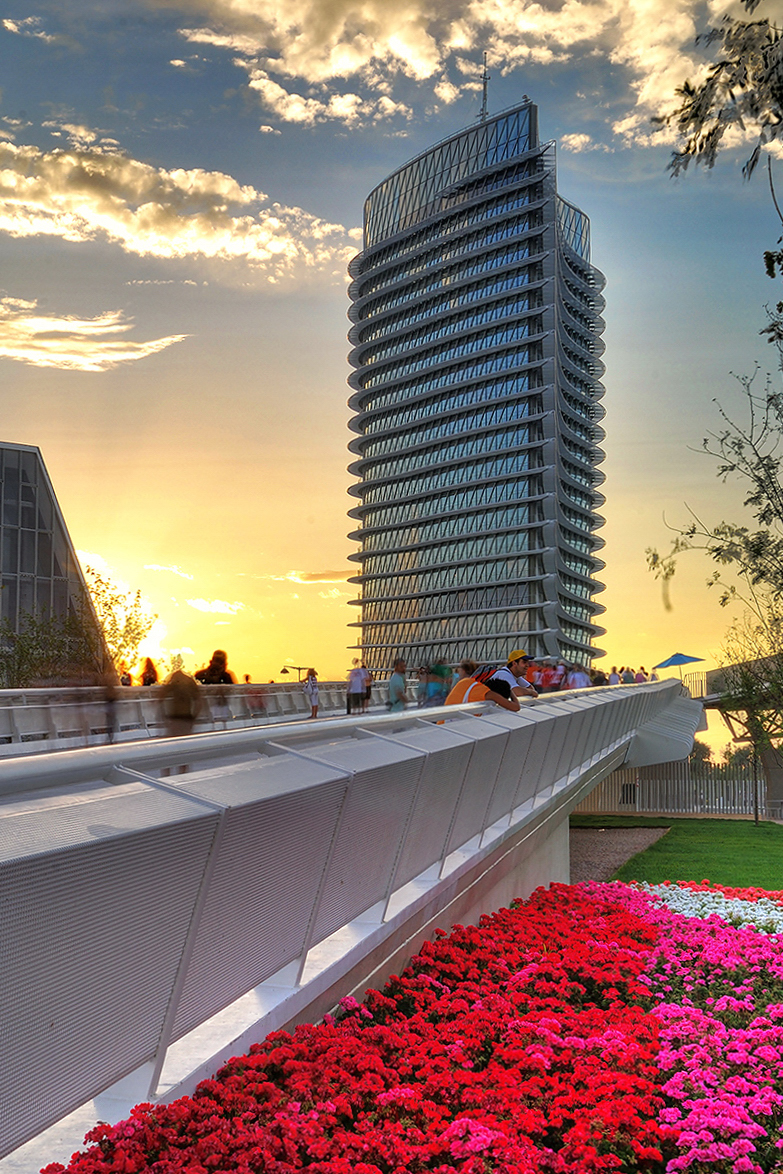 San Antón 2026 en Zaragoza: hogueras en barrios y bendiciones de animales